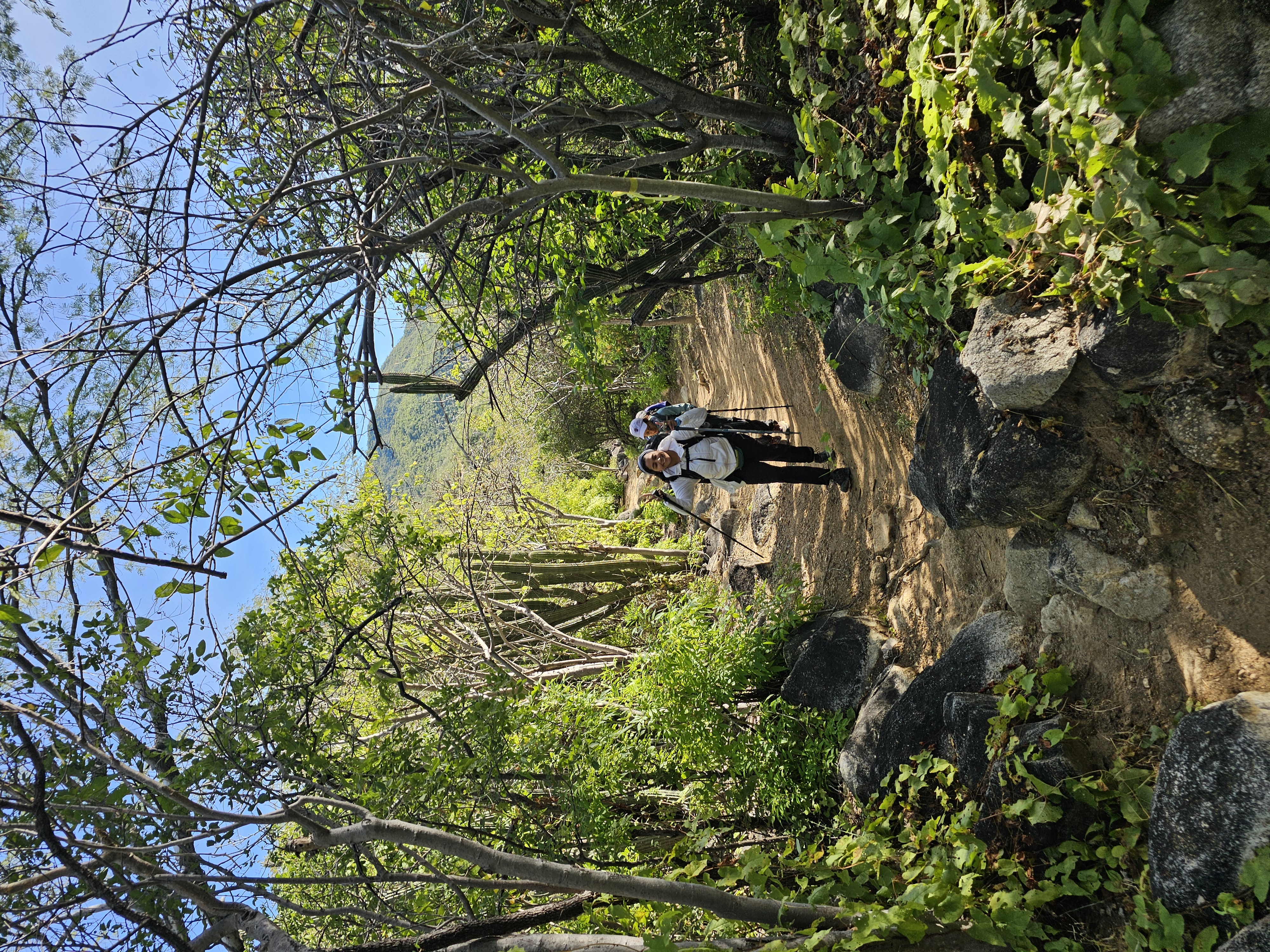 Sierra Laguna Biosfera
